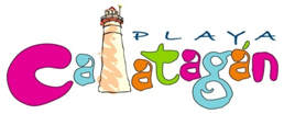 Punta Fuego Logo